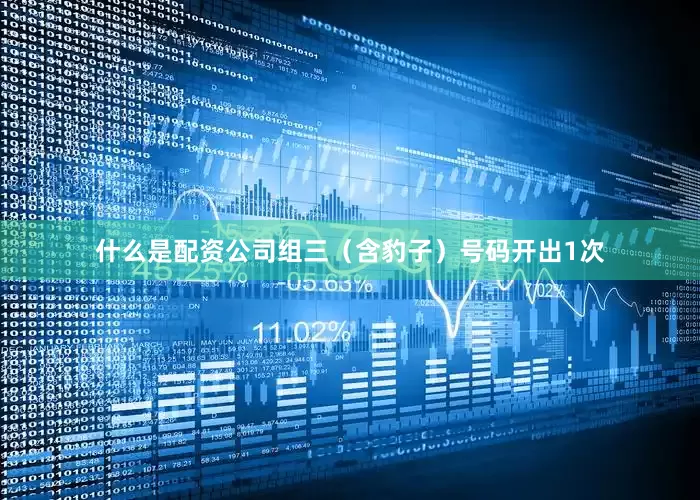 什么是配资公司　　组三（含豹子）号码开出1次